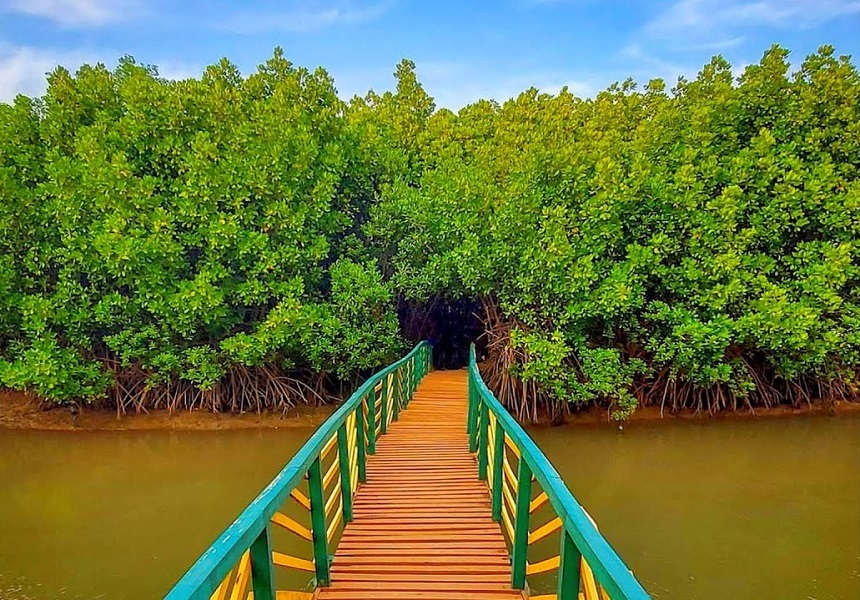 Kandla Mangroves